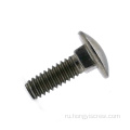 Круглая голова квадратная шея SS Carriage Bolt